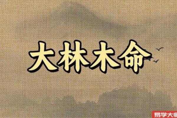 木命者的首饰禁忌：如何巧妙避开不适合的饰品