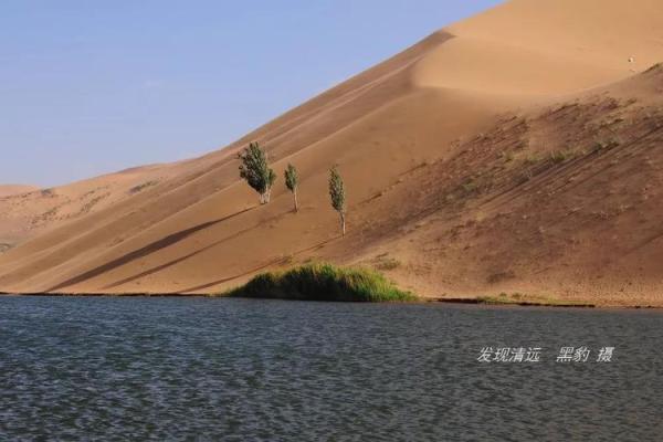 1944年属鼠之命：智慧与灵动的生命旅程