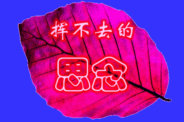 1944年属鼠之命：智慧与灵动的生命旅程