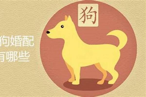 46岁属什么生肖，命运解析与生活启示