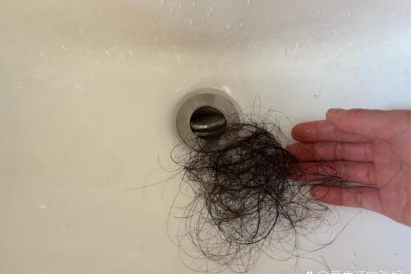 头发容易油腻的人,有哪些生活习惯和命运特点? 头发容易油腻的人,有哪些生活习惯和命运特点?