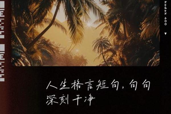 命运在于选择,无畏前行,人生无畏的风景 命运在于选择,无畏前行,人生无畏的风景