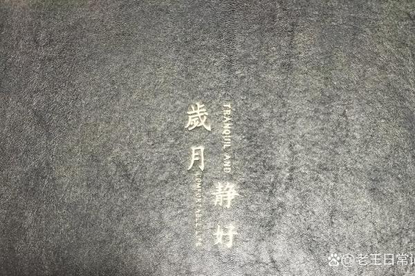 孤独的命运:没有父母与亲人,我该如何面对人生的挑战 孤独的命运:没有父母与亲人,我该如何面对人生的挑战