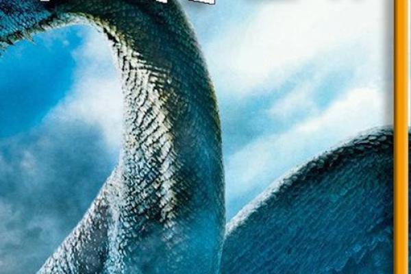 88属龙女解析：她们命运的神秘与魅力