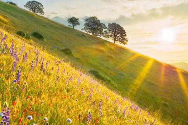 94年出生的人命运解析：与财富、事业、感情息息相关的命运之路