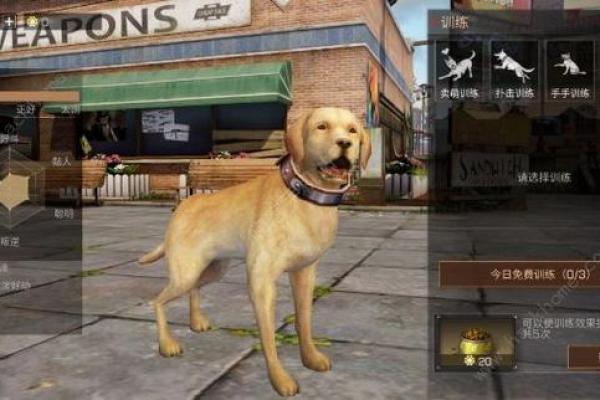 在仙命决的世界中,最佳开局策略是什么? 在仙命决的世界中,最佳开局策略是什么?