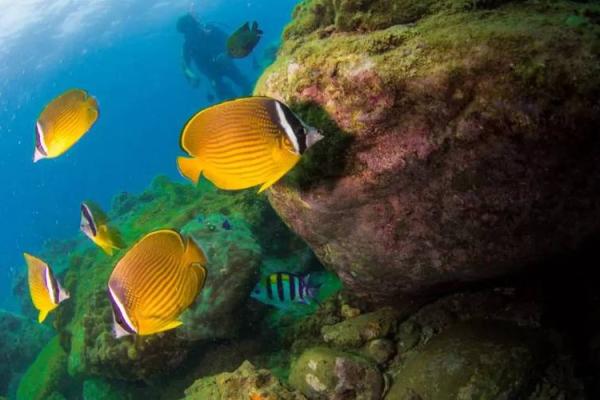 海水命的颜色之旅：探索适合你的色彩世界