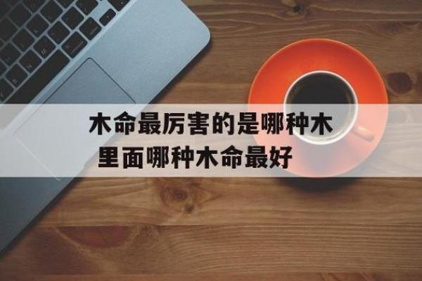 木命佩戴什么材质？探索木命的助力之道！