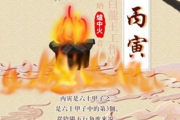 辛未年辛丑月出生的人命运解析与生活指导 辛未年辛丑月出生的人命运解析与生活指导