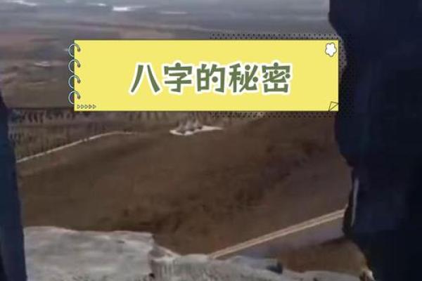 1952年出生的人的命运与性格探秘，揭示人生奥秘！