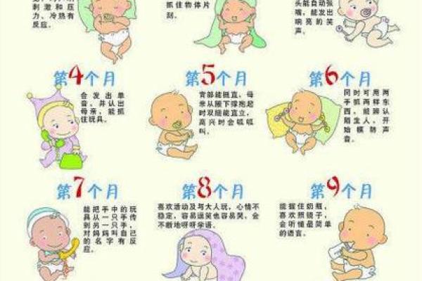 孩子的命运与五行:如何让他们的生活更出彩 孩子的命运与五行:如何让他们的生活更出彩