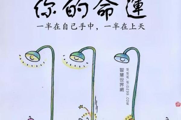 命运的呼唤：探寻人生的真谛与意义