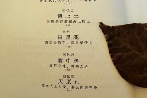 命运的呼唤：探寻人生的真谛与意义