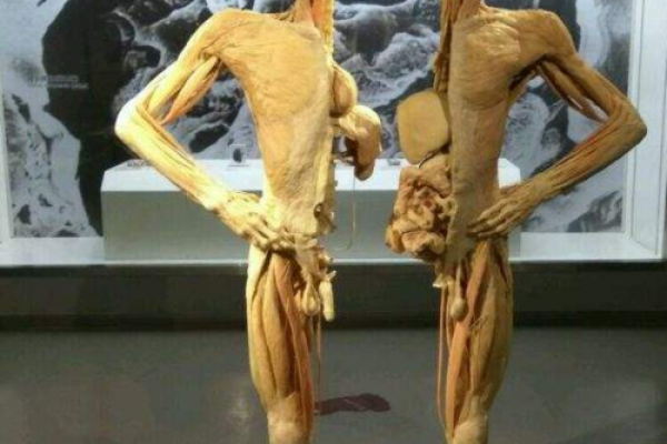 找先生算命,探索生命密码的奥秘与魅力 找先生算命,探索生命密码的奥秘与魅力