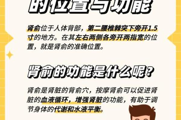 找先生算命,探索生命密码的奥秘与魅力 找先生算命,探索生命密码的奥秘与魅力