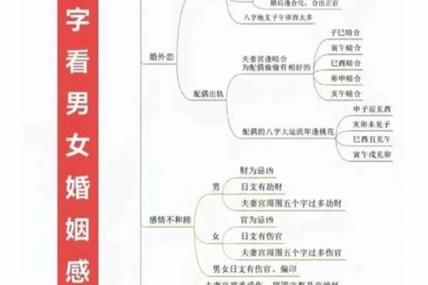 五行相生：命格解析与人生启示