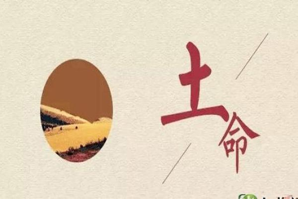 土命的人生方向：适合从事的行业与发展建议