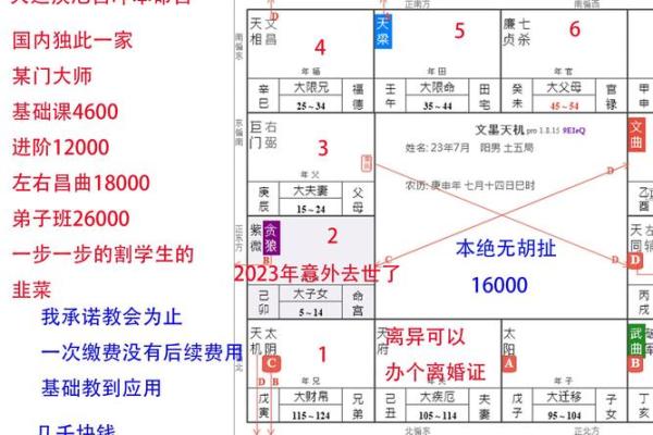 揭秘命盘中的财富密码：大财生肖与运势解析