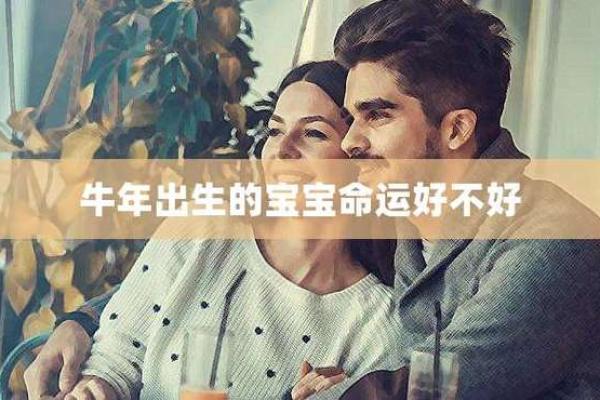 85牛年出生的人命运解析:性格、事业与感情的深度探秘 85牛年出生的人命运解析:性格、事业与感情的深度探秘
