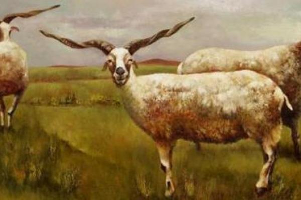 一九九一年属羊命运解析:众羊同辉,步步为赢! 一九九一年属羊命运解析:众羊同辉,步步为赢!