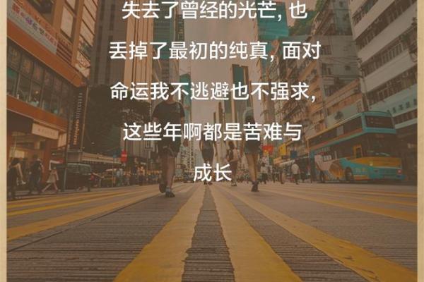 无父母无子女,命运的孤旅与寻找希望的光芒 无父母无子女,命运的孤旅与寻找希望的光芒