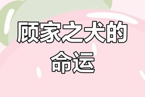 1958年是狗年，属狗的人生运势与性格解析