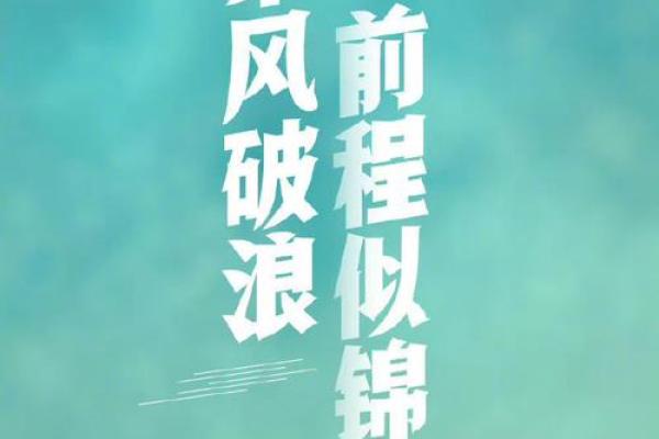 2024年鸡年12月的命运解析：风华正茂与机遇并存