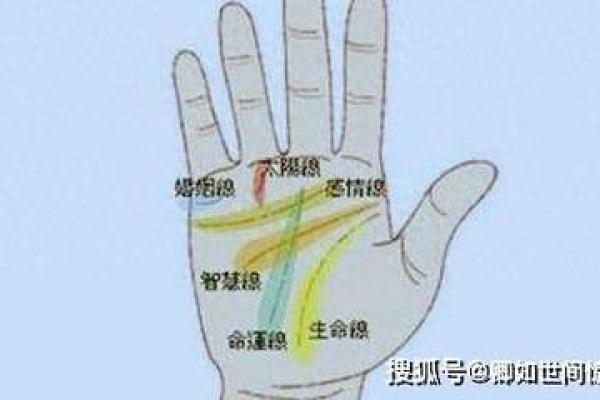 通过手纹解读命运：探寻手中故事与人生秘密