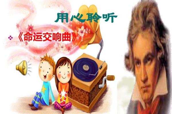 2019年金猪年：幸运与命运的交响曲，解析不同命格的影响与启示