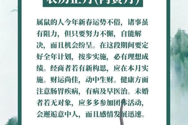 2023年14岁鼠命人的运势与生活智慧探讨