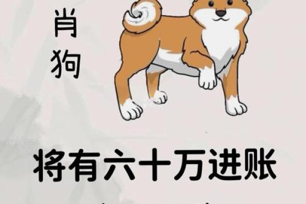 94年属狗人的命运分析与生活指导