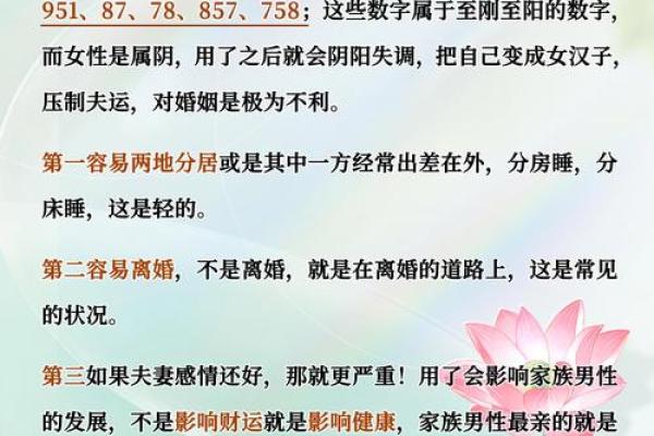 91年出生的人命运解析：探秘他们的生活与未来