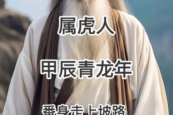 探秘2046年虎年,属于你的命运解析与生活智慧 探秘2046年虎年,属于你的命运解析与生活智慧