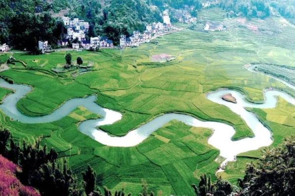 探秘1977年沙土命:究竟缺失了什么? 探秘1977年沙土命:究竟缺失了什么?