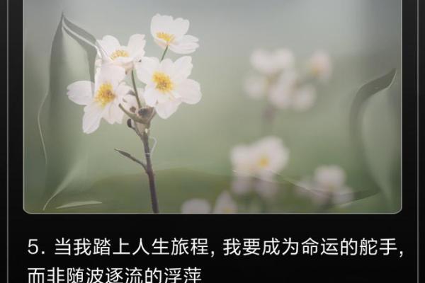 46岁去世的命运：生命的短暂与真谛探寻