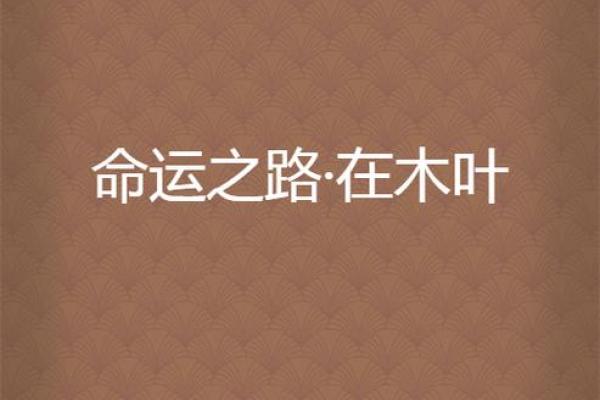 1995年出生的孩子：他们的命运与发展之路