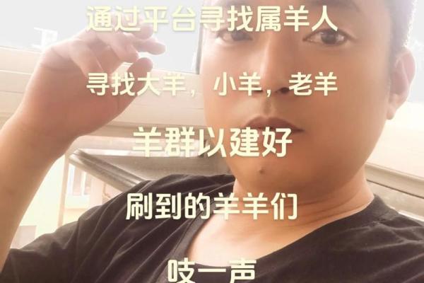 79年羊是什么命?解密羊年人的性格与命运之旅 79年羊是什么命?解密羊年人的性格与命运之旅