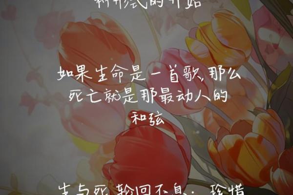 一命换一命:生命的价值与牺牲的深思 一命换一命:生命的价值与牺牲的深思