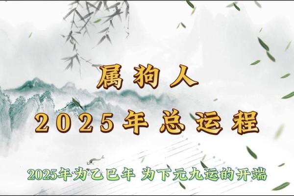 2007年属狗人命理分析:探索他们的性格和命运之路 2007年属狗人命理分析:探索他们的性格和命运之路