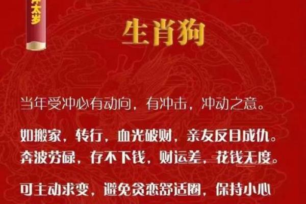 2007年属狗人命理分析:探索他们的性格和命运之路 2007年属狗人命理分析:探索他们的性格和命运之路