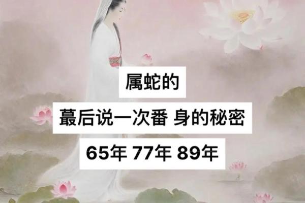 77蛇之命：适合做的职业与发展方向分析