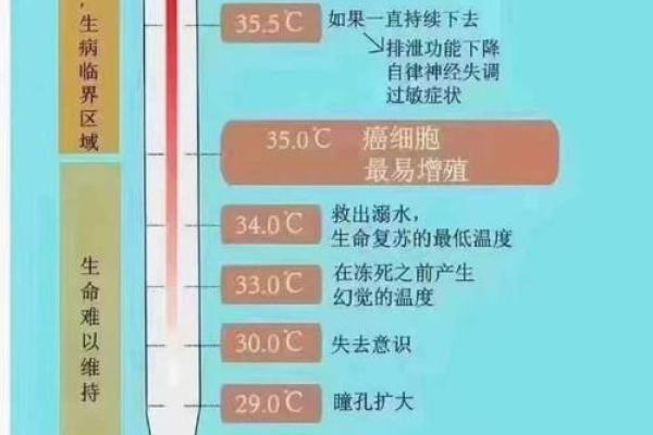 恒温与命运:为何我们命运的温度如此重要? 恒温与命运:为何我们命运的温度如此重要?