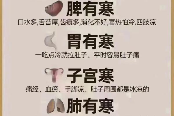 恒温与命运:为何我们命运的温度如此重要? 恒温与命运:为何我们命运的温度如此重要?
