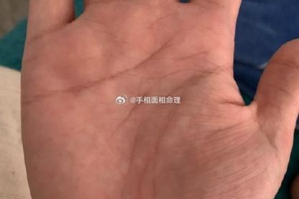 解密天才手相：男命中的智者之路