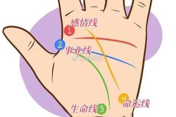 命运与选择：人生的命运线