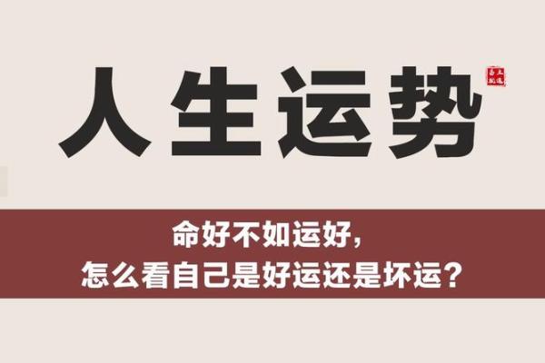 命运与运势：解读“命”与“运”的成语哲学