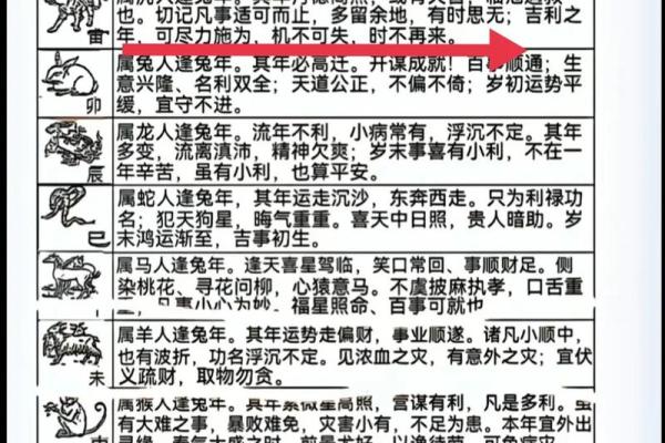 命运与运势：解读“命”与“运”的成语哲学