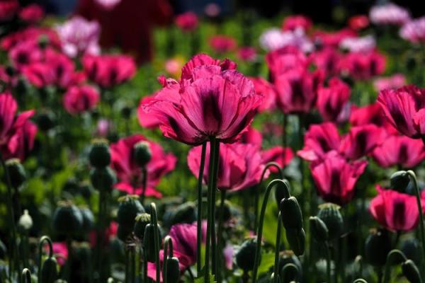 命与运:人生的交响乐,掌控在自己手中 命与运:人生的交响乐,掌控在自己手中