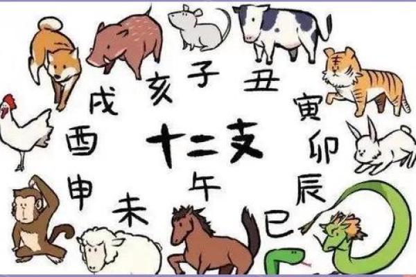 1948年出生的鼠：揭开命运与性格的面纱