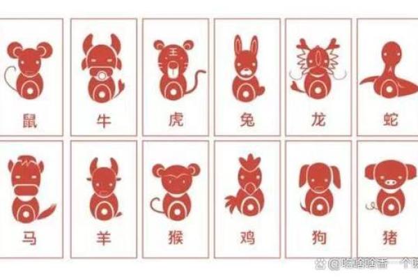 1948年出生的鼠：揭开命运与性格的面纱